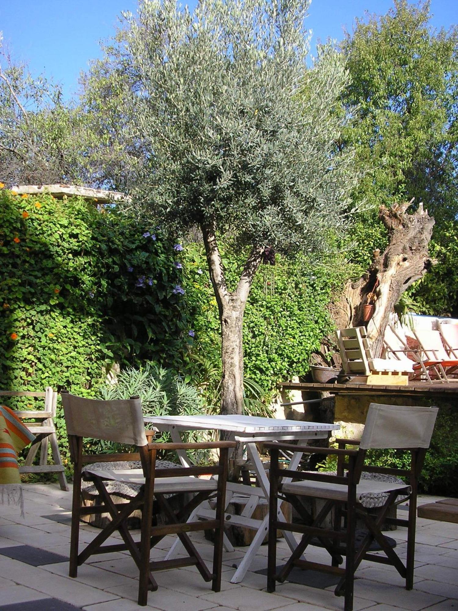 Shulamit Yard Hotel Rosh Pinna Bagian luar foto