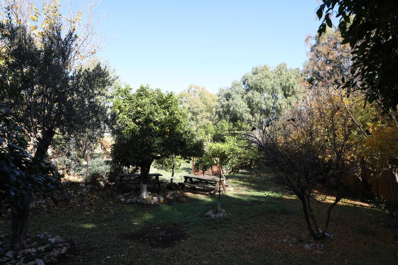 Shulamit Yard Hotel Rosh Pinna Bagian luar foto